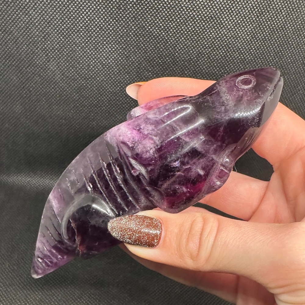 Fluorite Axolotl - Picture 6 of 7